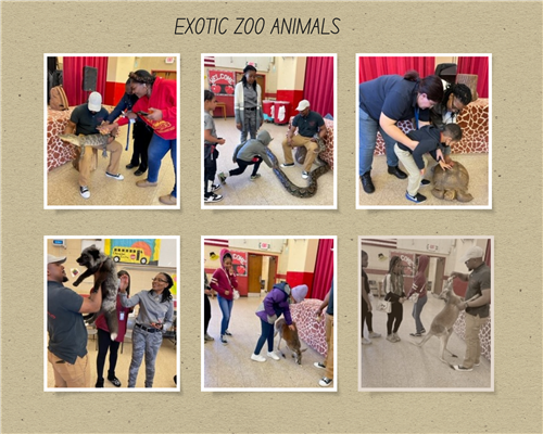 Zoo 1